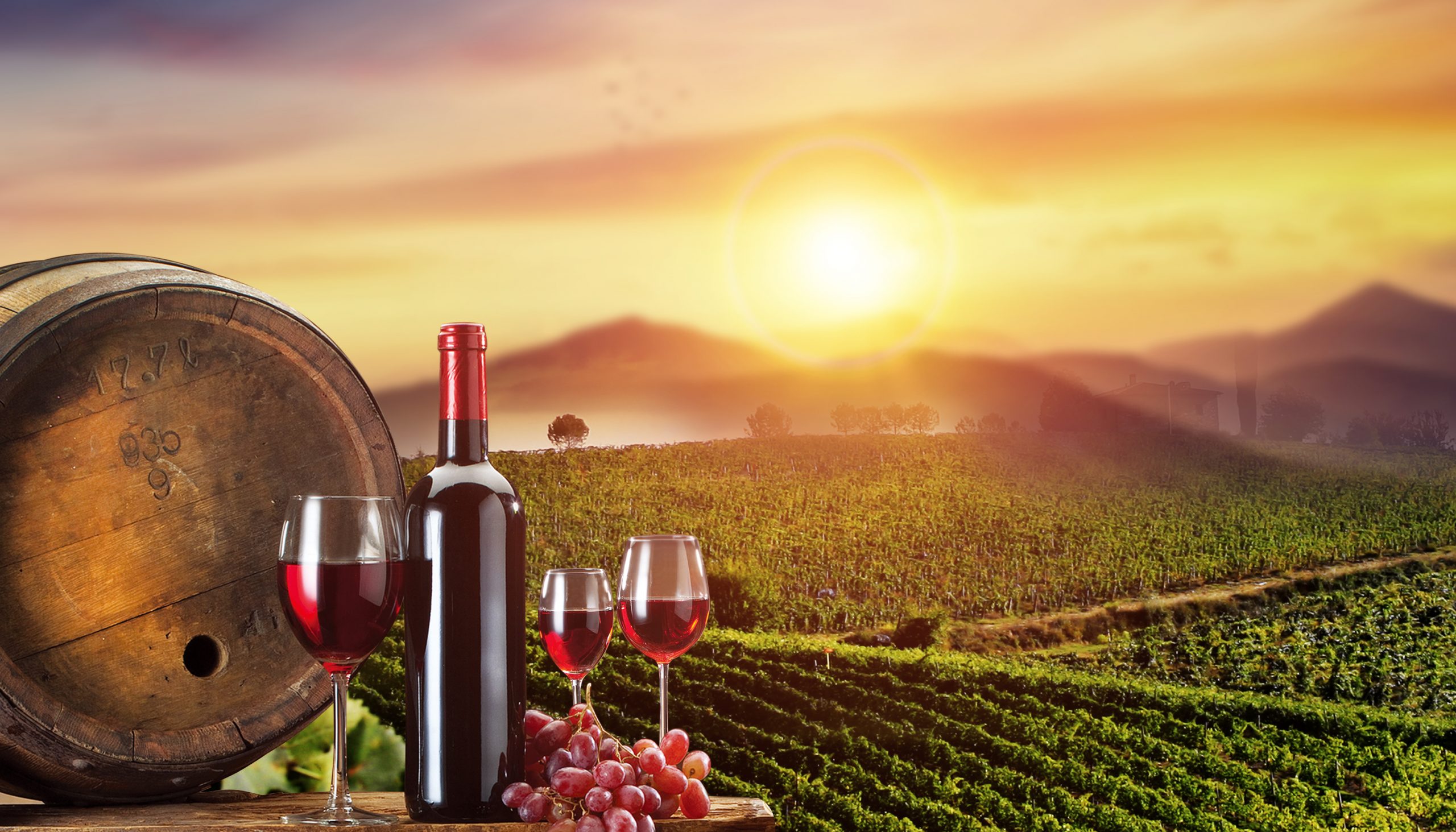 vino italiano in cina