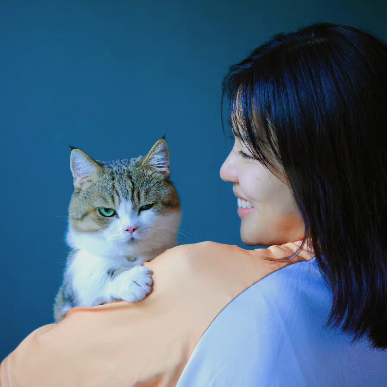 cina animali domestici pet food
