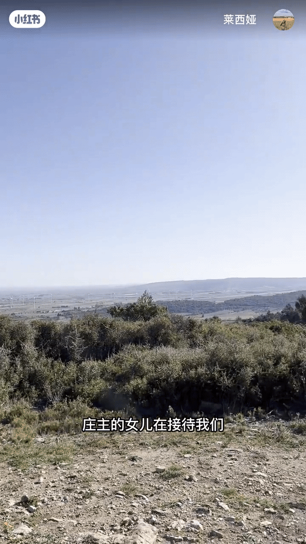 tour vino cinesi
