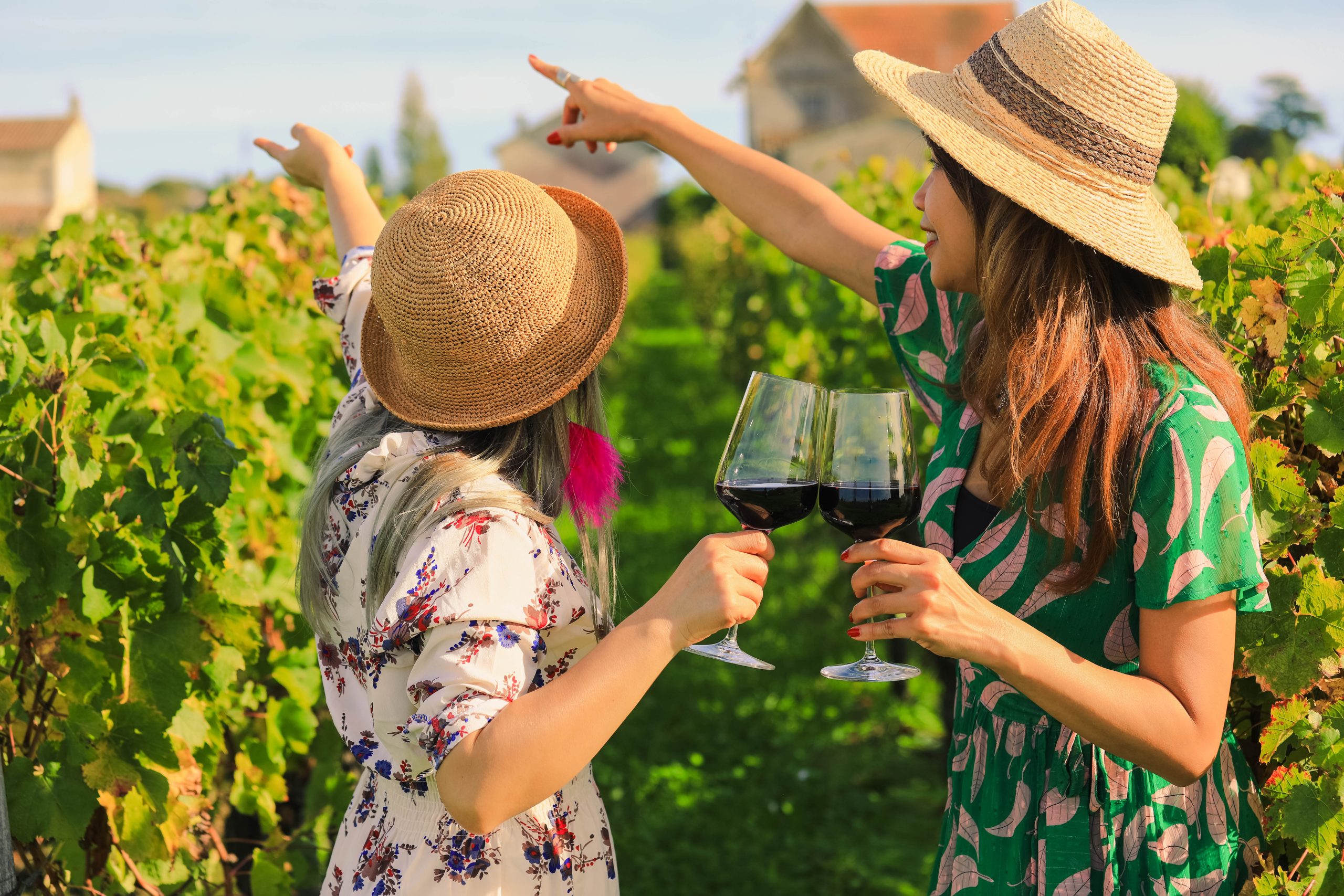 Close up on women hands holding red wine glasses at vineyard in France