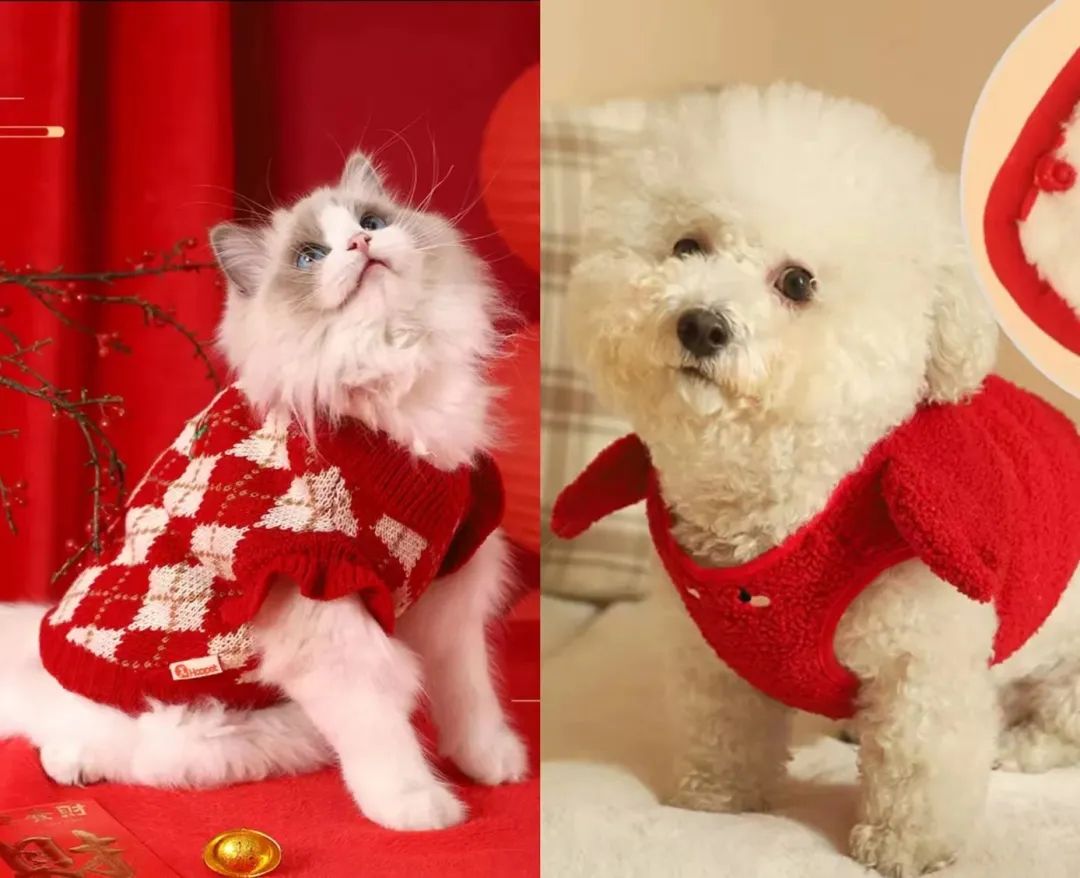 animali domestici cina